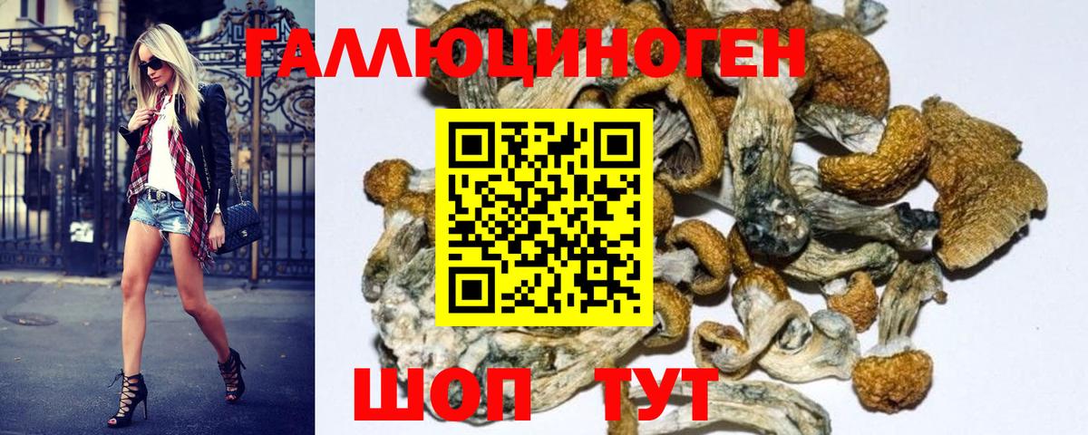 Псилоцибиновые грибы мухоморы  Псилоцибиновые грибы MAGIC MUSHROOMS  Вход с VPN  Азов 